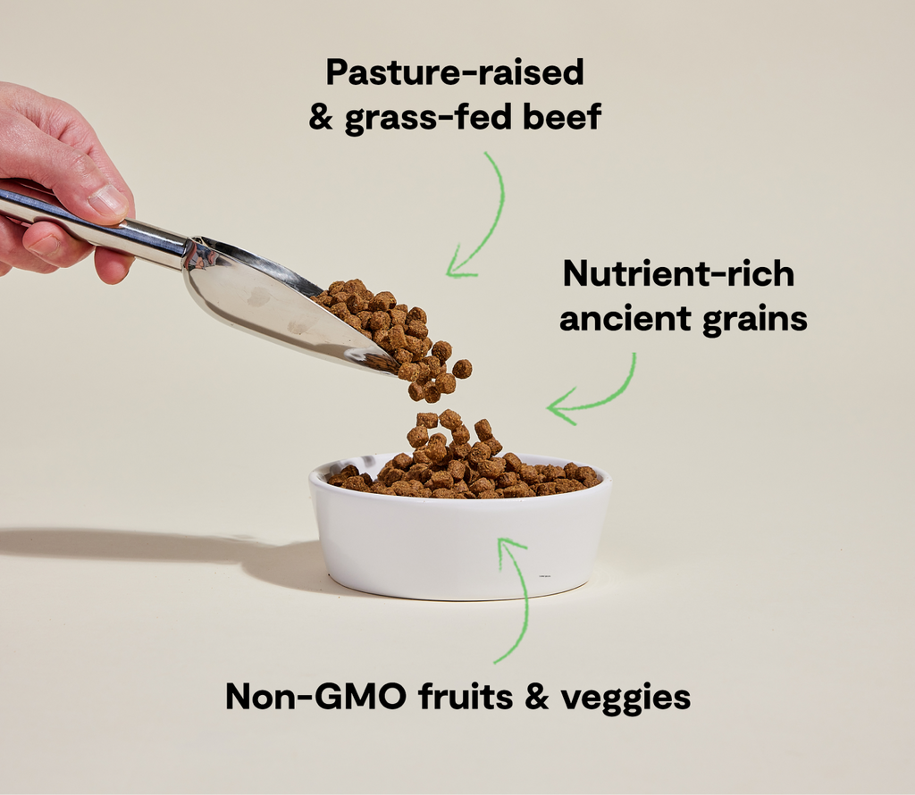 Dry Dog Food product image 5