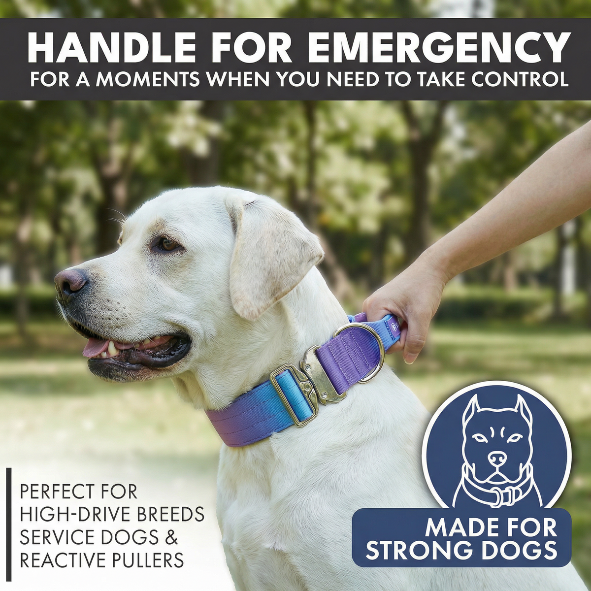Tactical Dog Collar and Leash Set product image 2