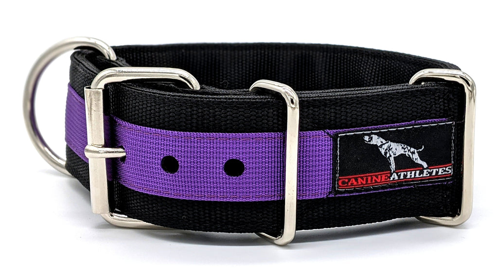 Canine Athletes Pro- HD 2" Heavy Duty Working Dog Collar Black Purple