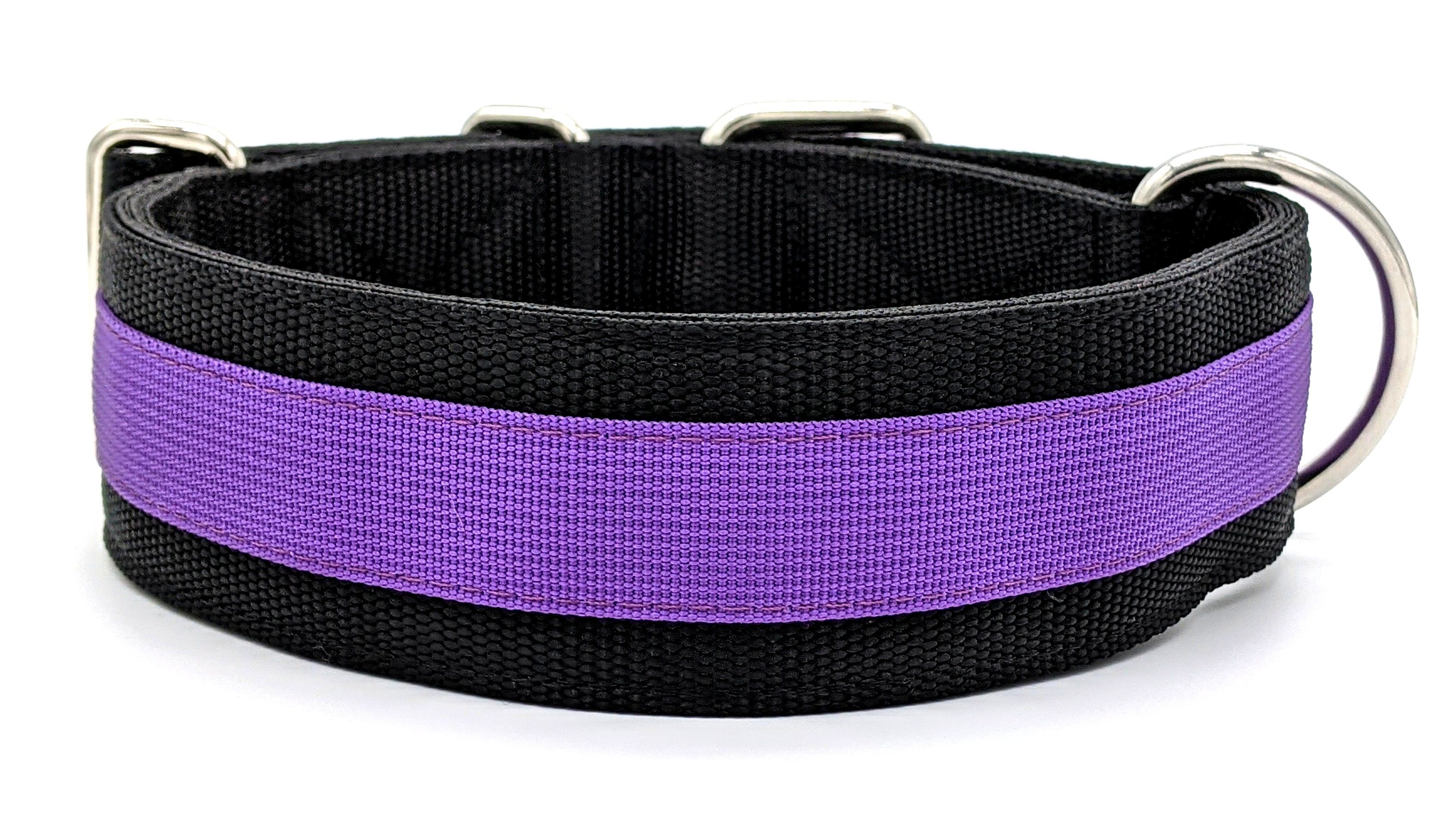 Canine Athletes 2" Pro- HD Heavy Duty Working Dog Collar Black Purple Back