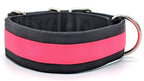 Canine Athletes Pro- HD 2" Heavy Duty Working Dog Collar Hot Pink Back