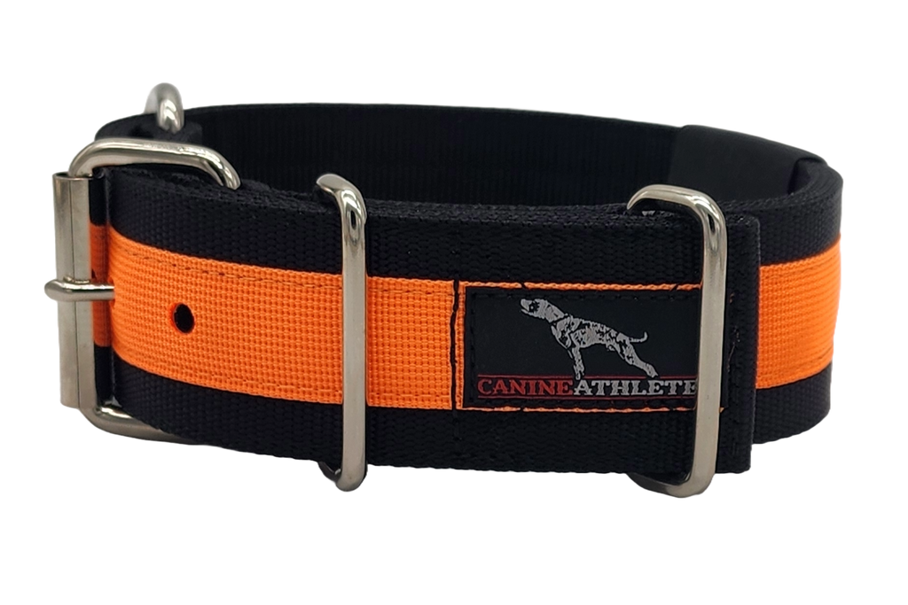 Canine Athletes 2" Pro-HD Heavy Duty Working Dog Collar Black Orange