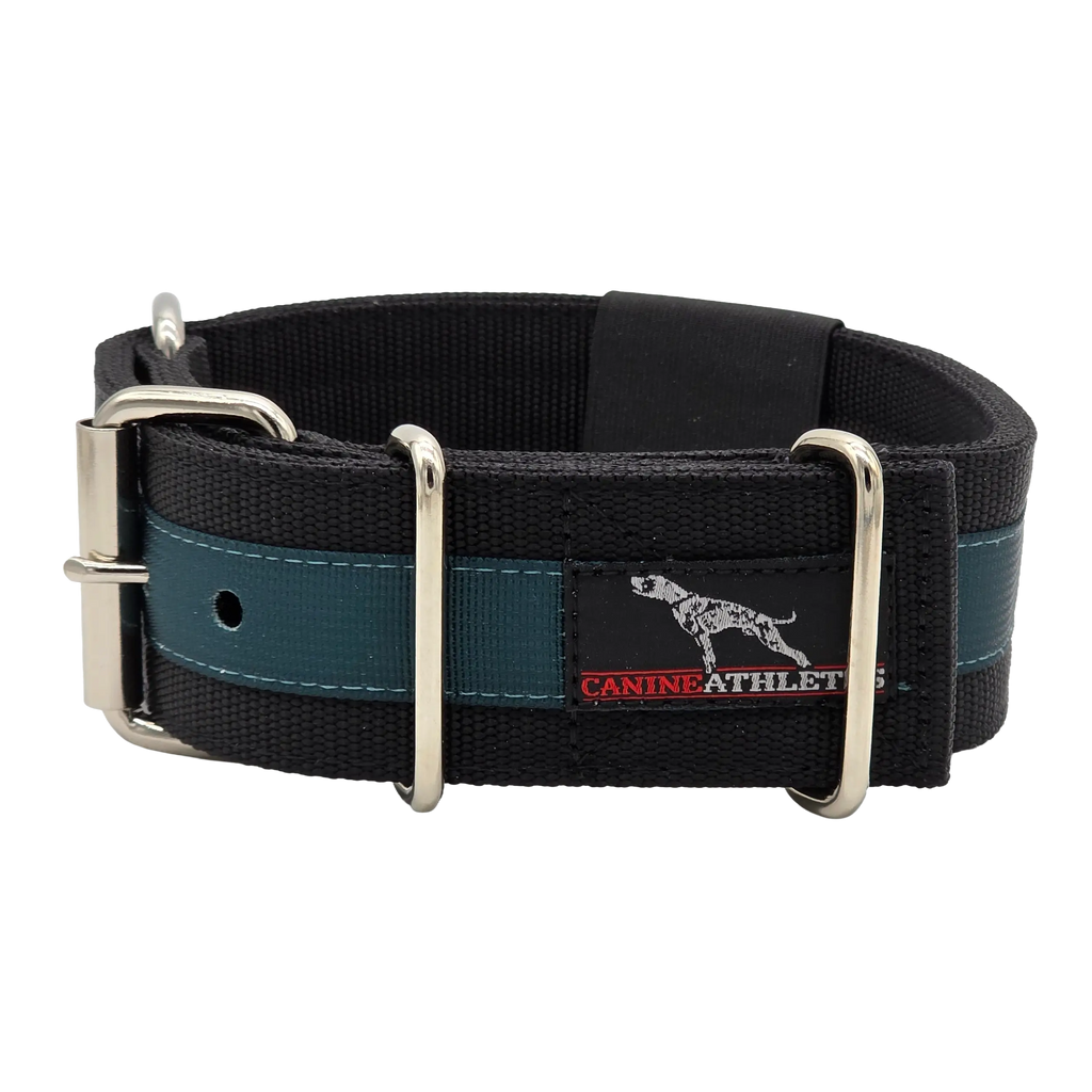 Canine Athletes 2" Pro-HD Heavy Duty Working Dog Collar Black Teal