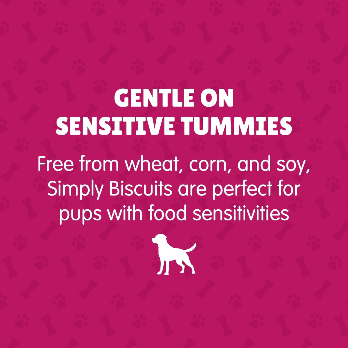 Dog Treat Biscuits product image 8