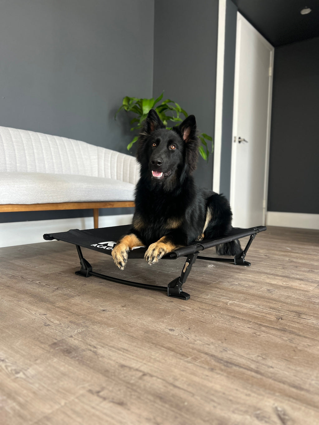 Portable Dog Cot product image 9