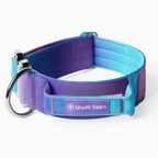 Control-Handle Dog Collar 2"/5cm / S