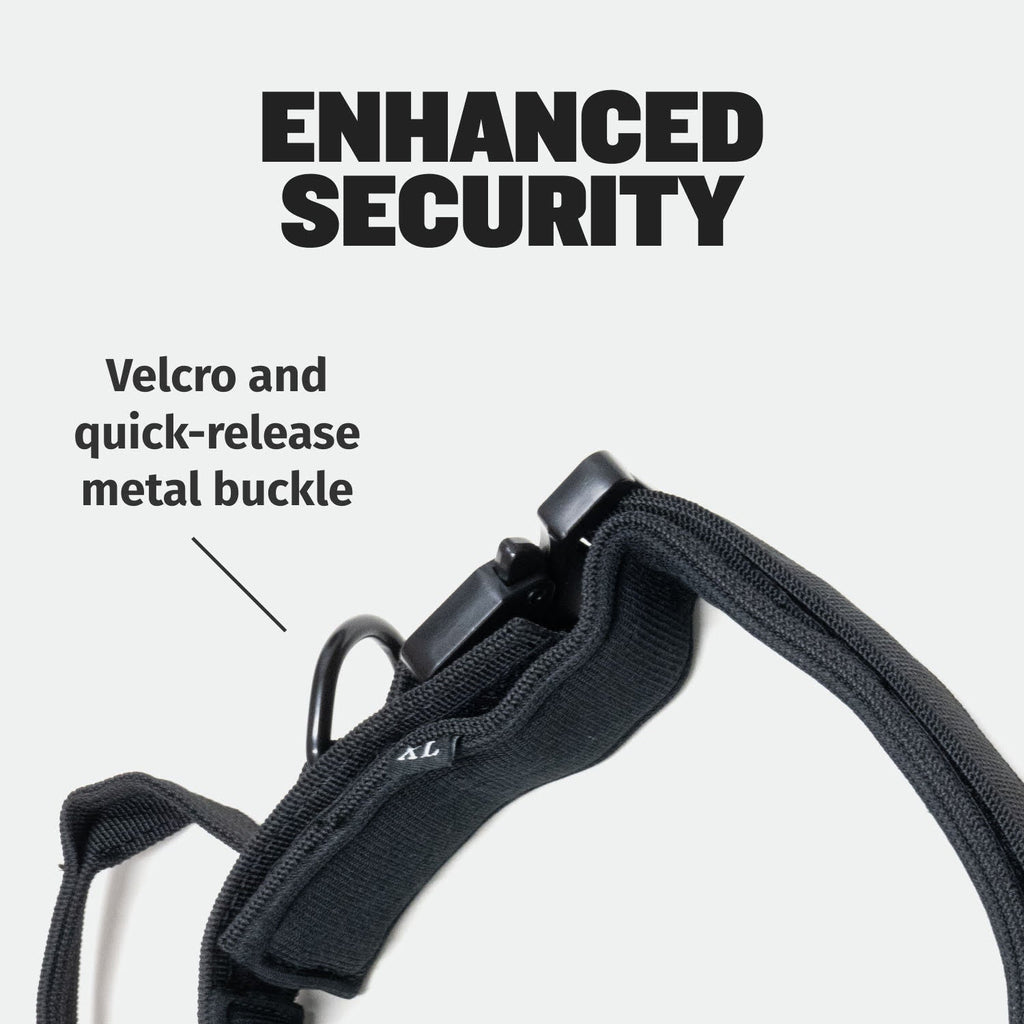 Padded Tactical Dog Collar product image 5