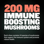 Puppy Nutrition Food Bundle product image 9