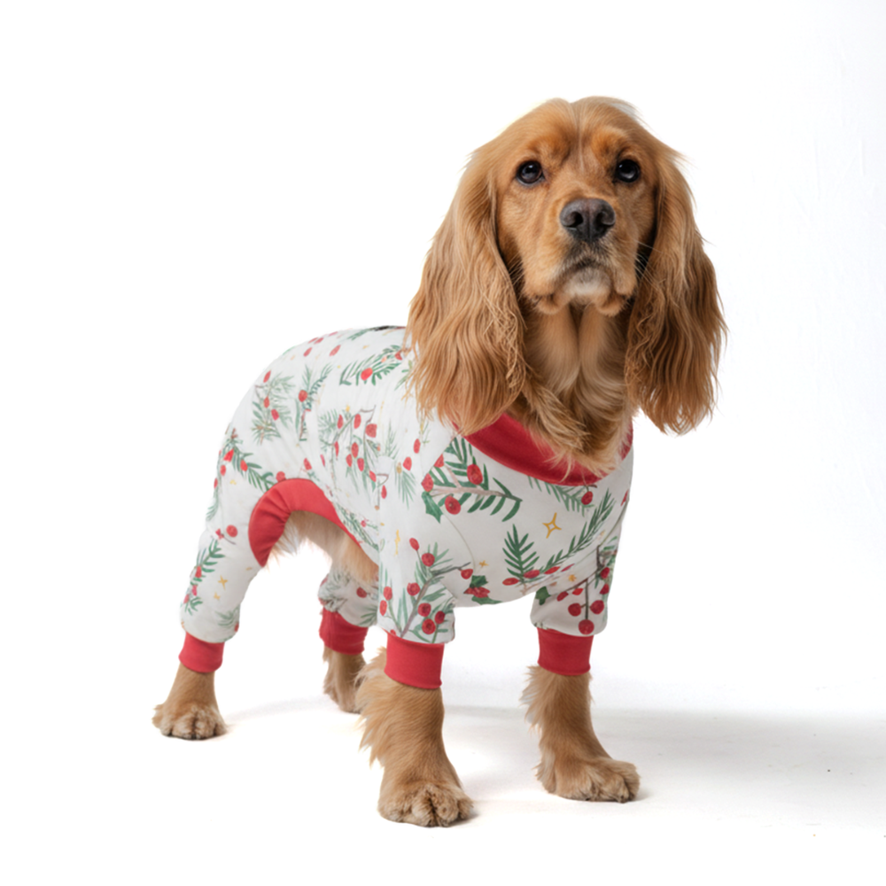 Mistletoe Christmas Dog Pajamas product image 1