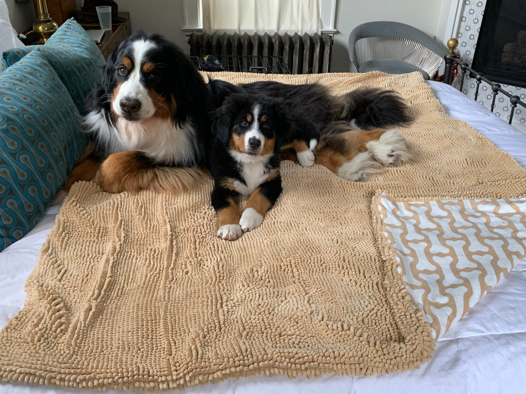 Dog Blanket product image 1