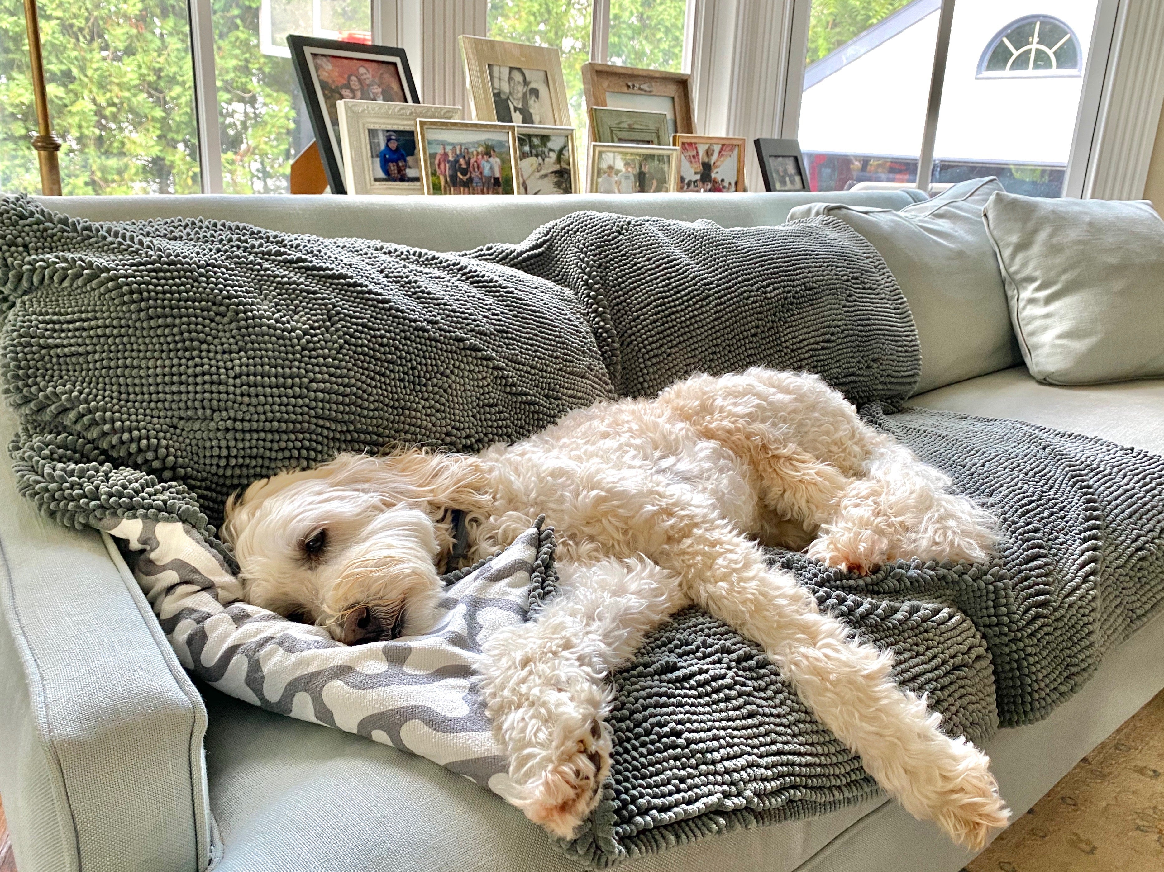 Dog Blanket product image 2