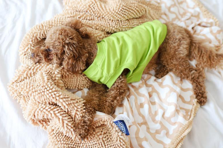 Dog Blanket product image 7