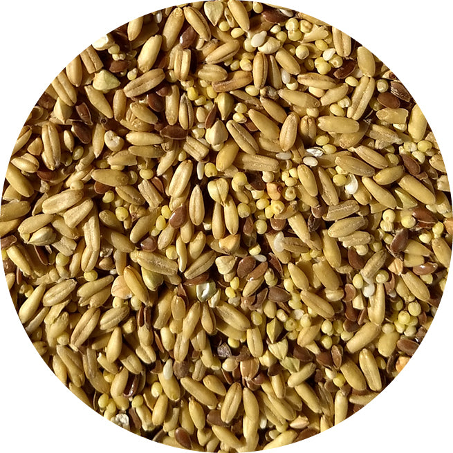 Organic Bird Seed Mix product image 2