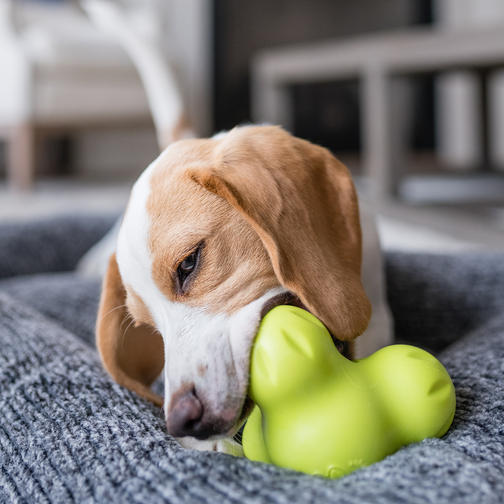 Dog Treat Toy product image 7