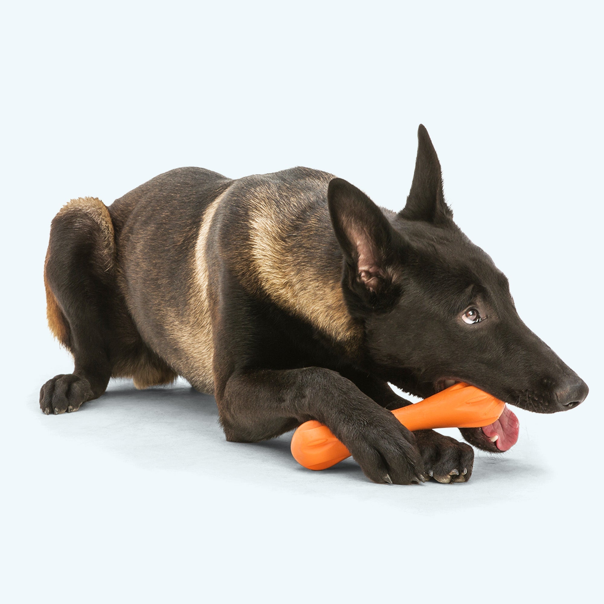 Floatable Bone-Shaped Dog Chew Toy product image 3