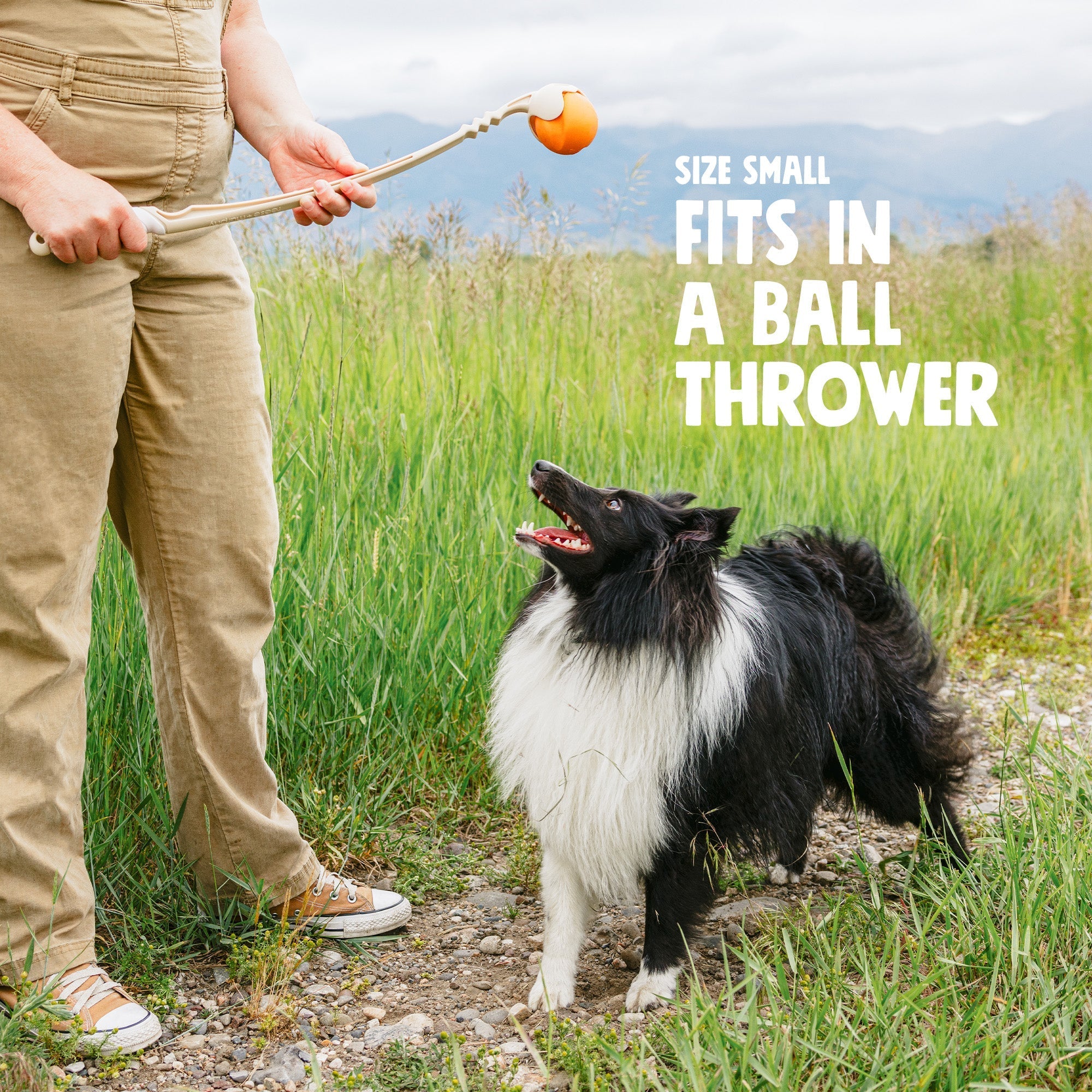 Erratic-Bounce Dog Fetch Ball product image 6