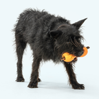 Treat-Dispensing Dog Chew Toy product image 3