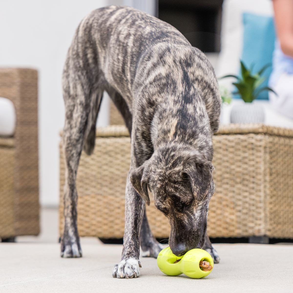 Treat-Dispensing Dog Chew Toy product image 5
