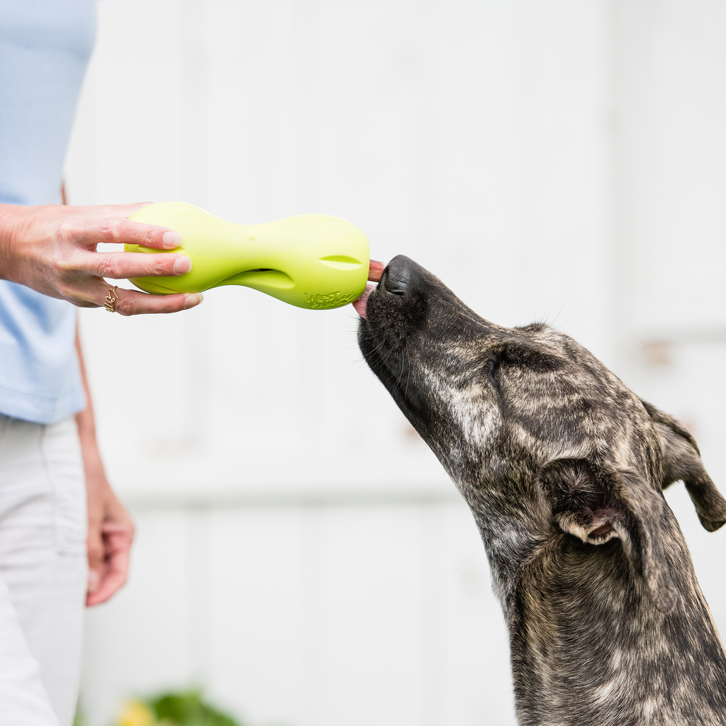 Treat-Dispensing Dog Chew Toy product image 8