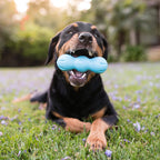 Dog Chew Toy product image 5