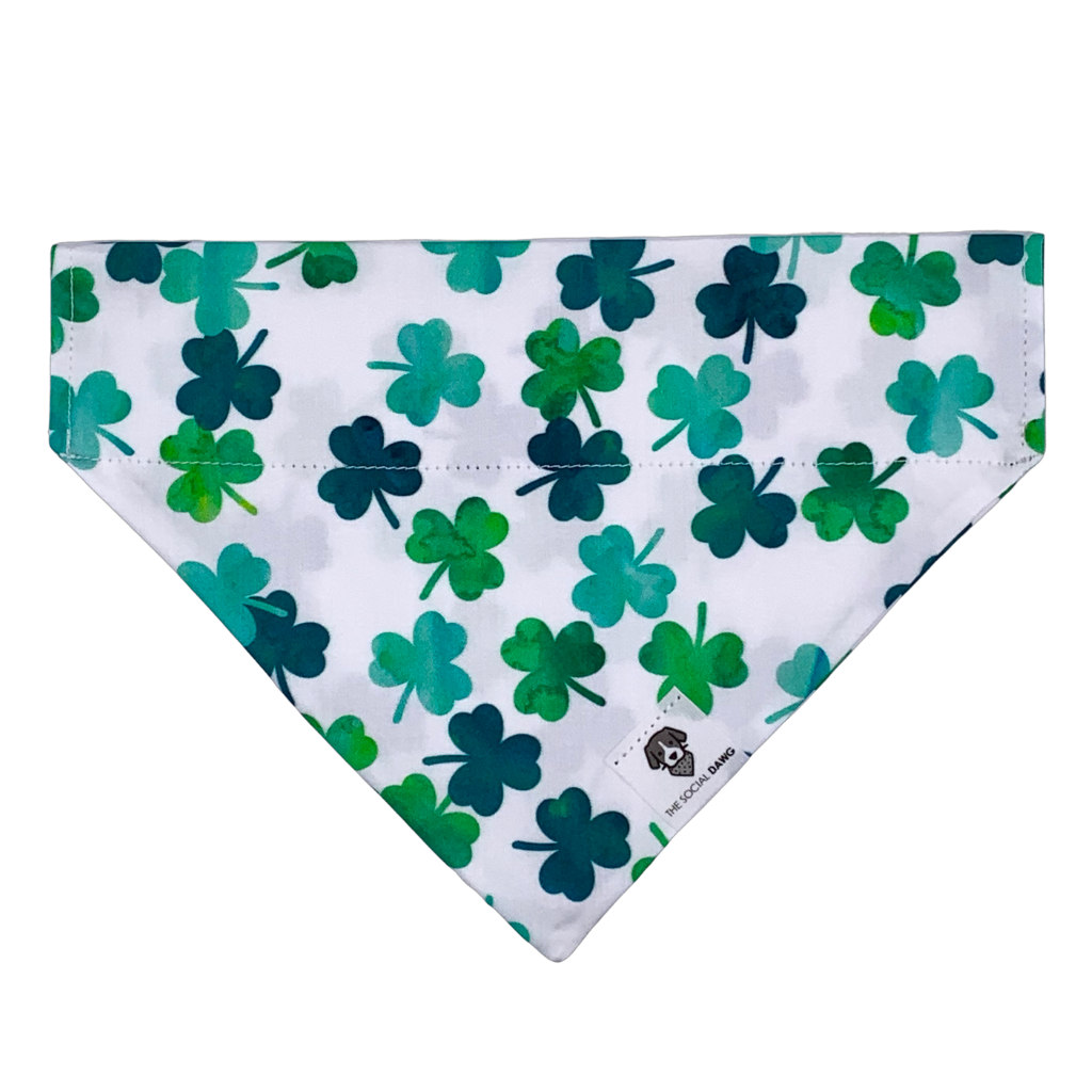 Dog Bandana product image 1