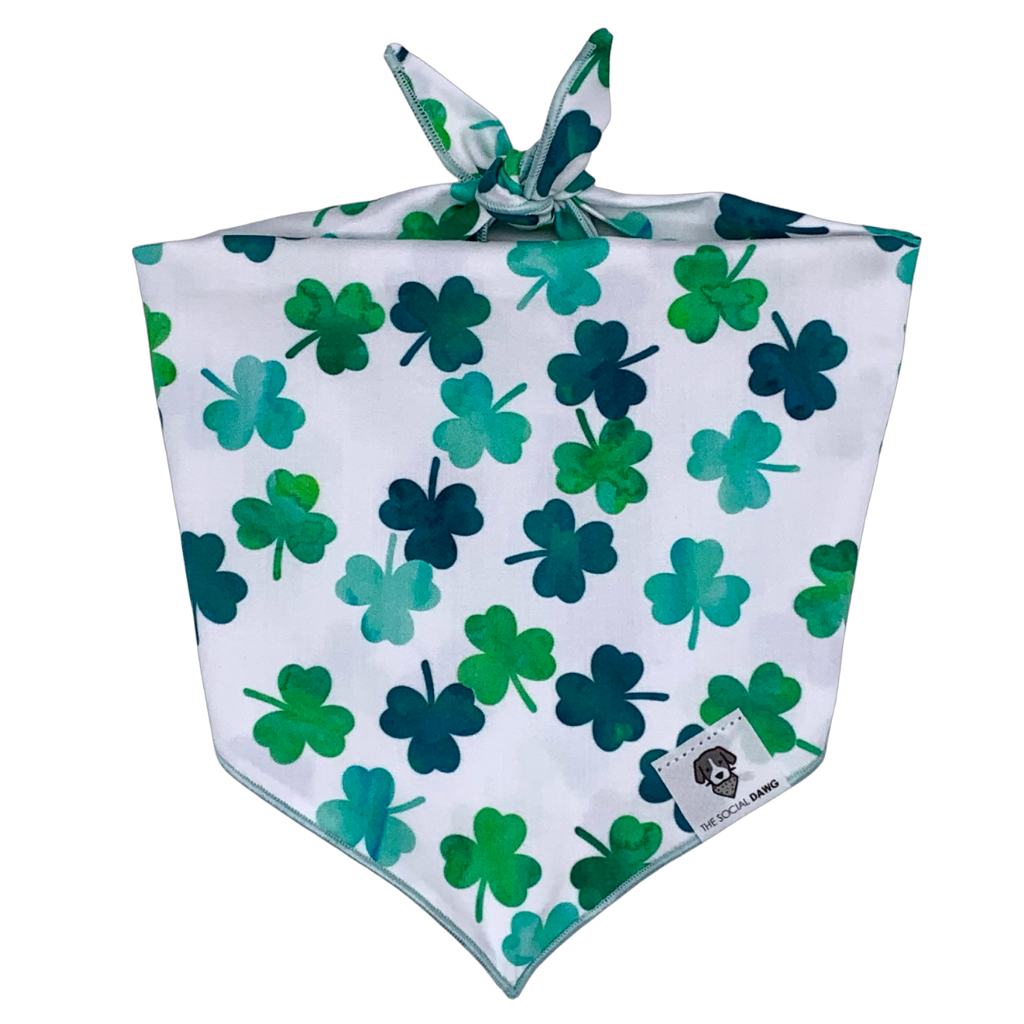 Dog Bandana product image 1