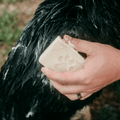 Zero-Waste Pet Shampoo Bar product image 1