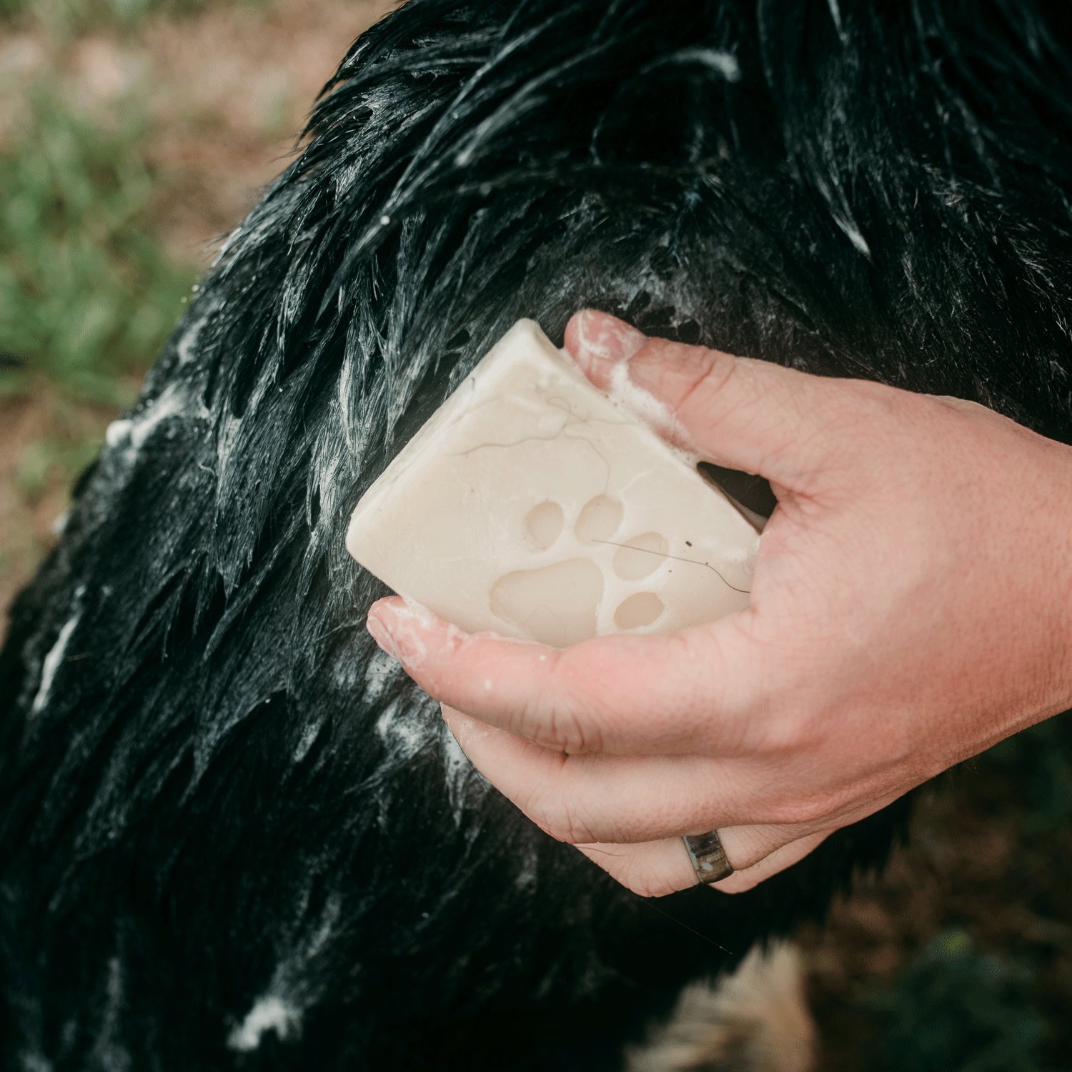 Zero-Waste Pet Shampoo Bar product image 1