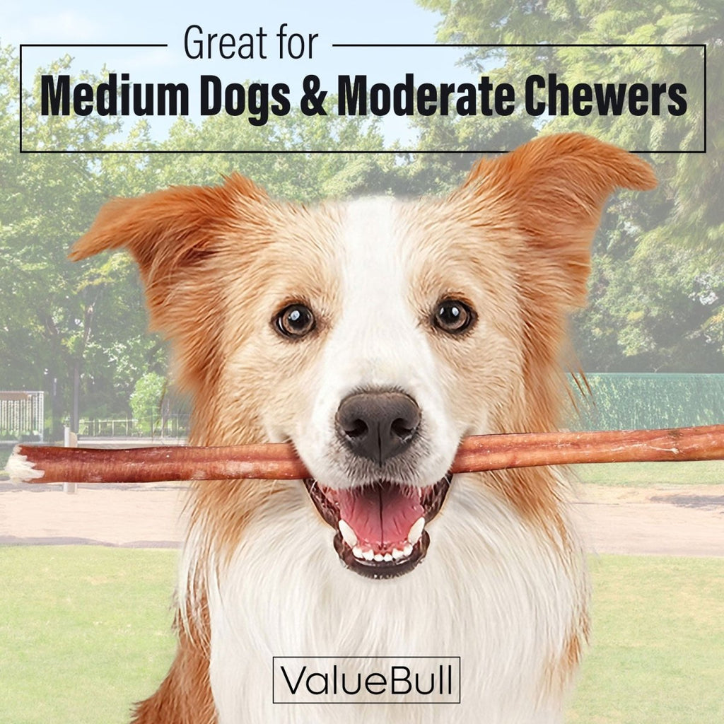 Bully Sticks product image 2