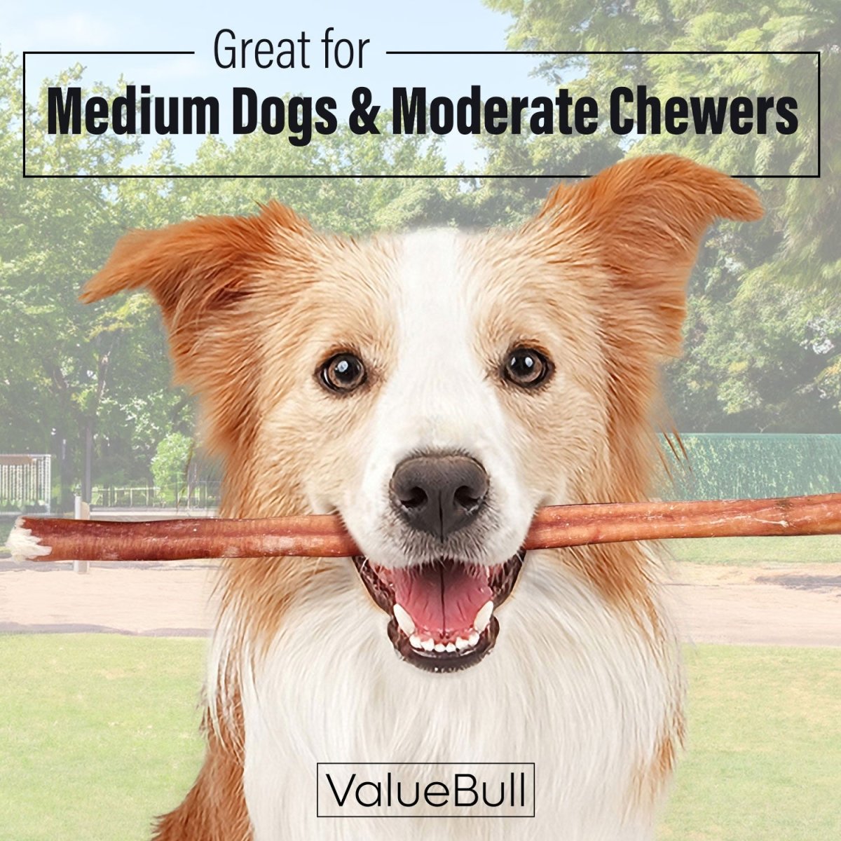 Bully Sticks product image 2