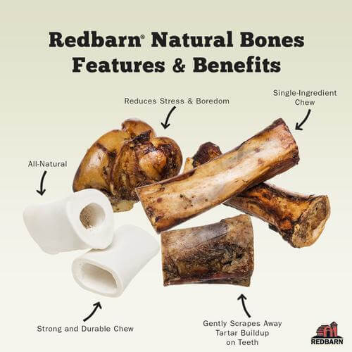 Dog Bone Chew product image 3