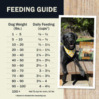 Feeding guide for dogs with a photo of a dog and a package on a wooden surface