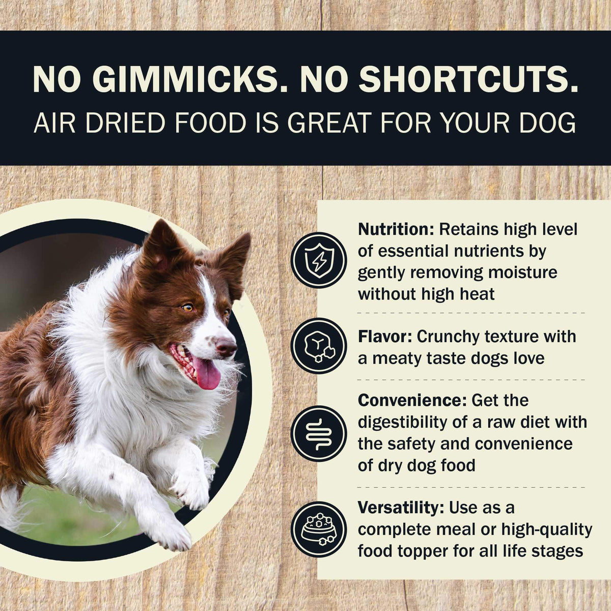 Dog with text about air dried dog food benefits on a wooden background