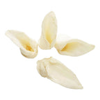 Lamb Ear Dog Chews product image 2