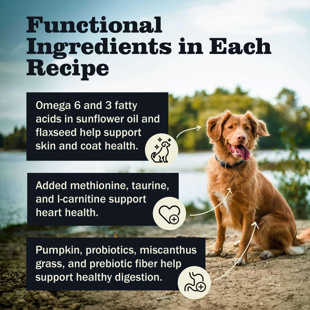 Dry Dog Food product image 6