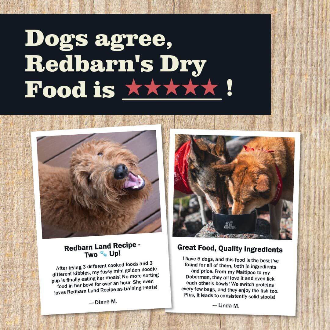 Dry Dog Food product image 12