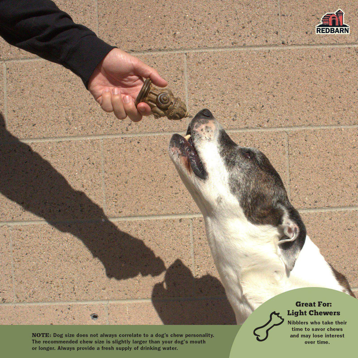Dog Dental Chews product image 6