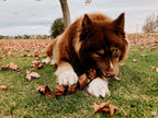 Dog Treats product image 5