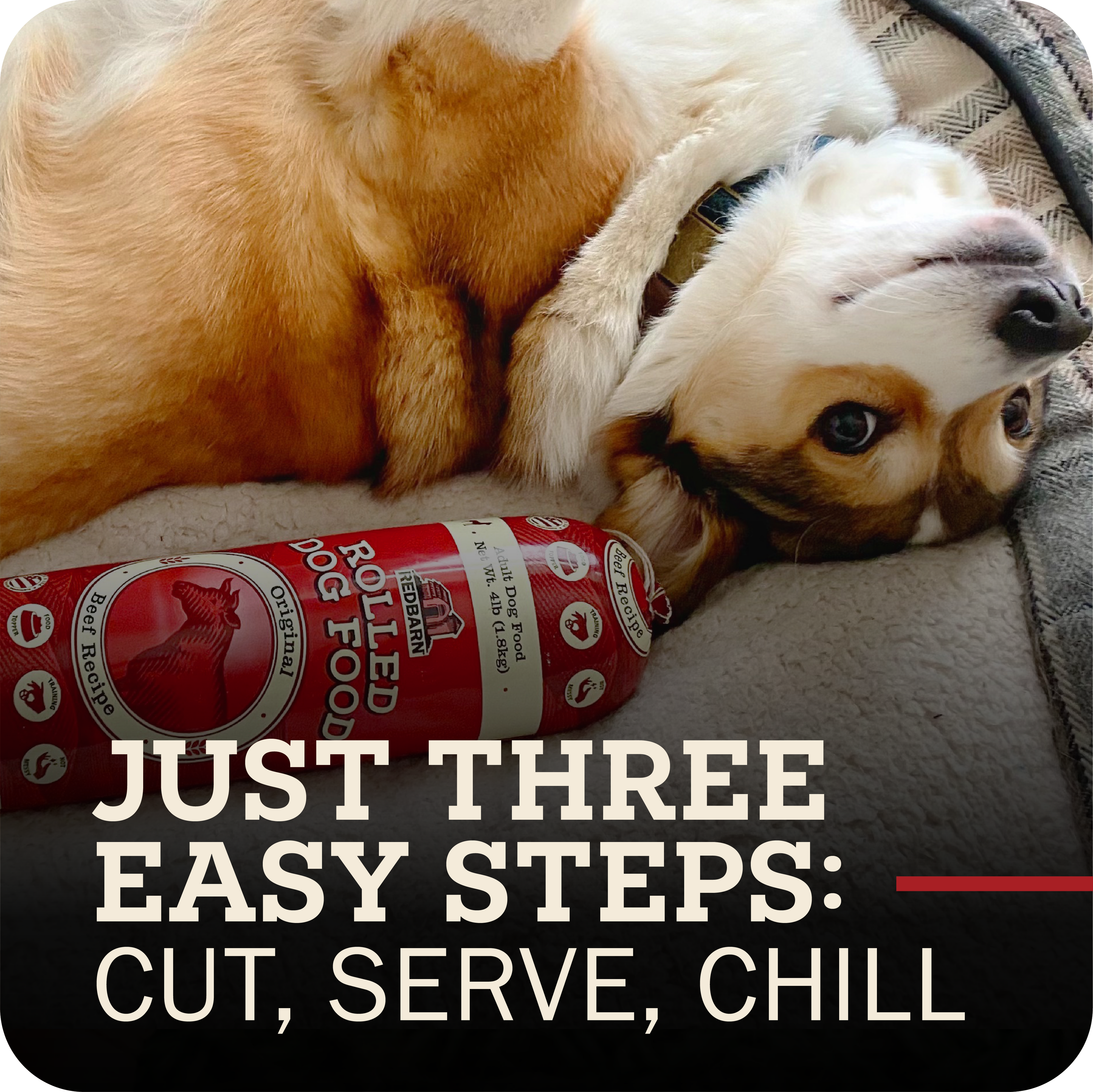 Dog lying next to rolled dog food with promotional text on a gray surface