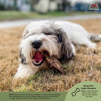 Dog Treats product image 4