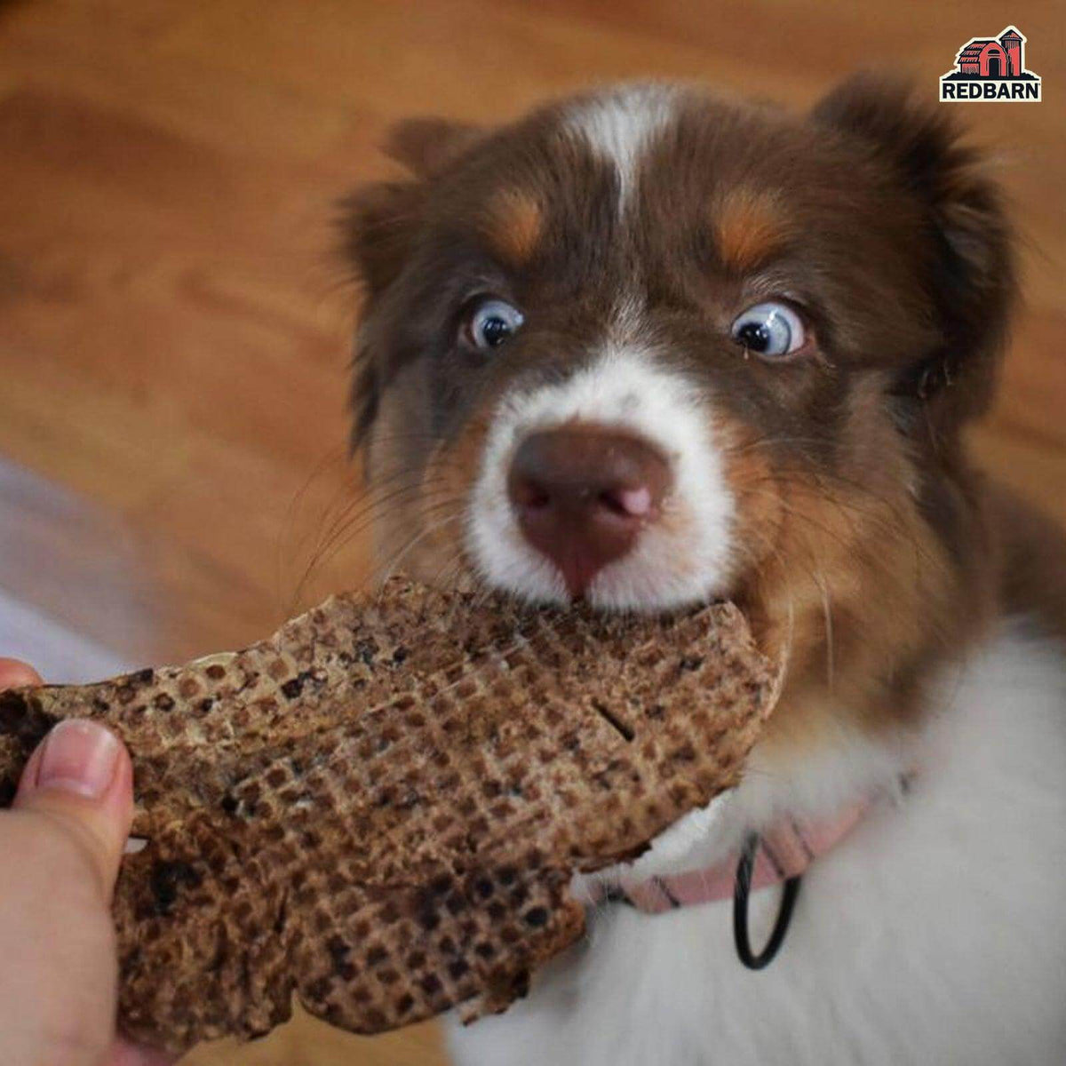 Dog Treats product image 6