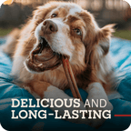 Beef Bully Stick Dog Chews product image 8