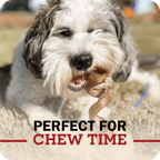 Beef Bully Stick Dog Chews product image 9