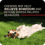 Beef Bully Stick Dog Chews product image 10