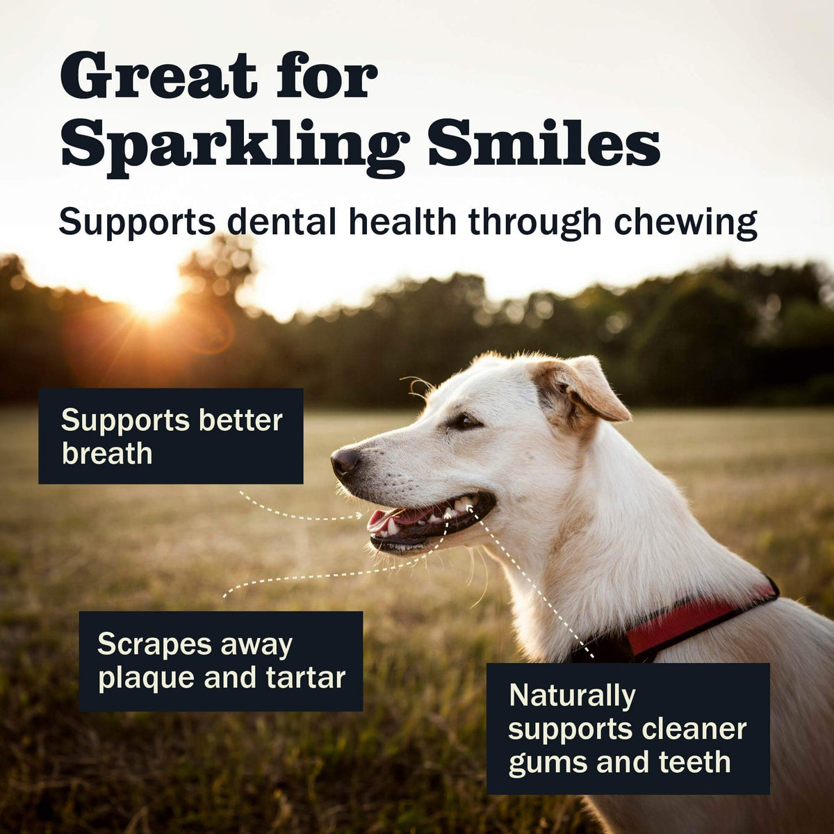 Dog Chews product image 4