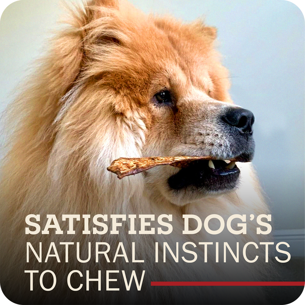 A fluffy golden dog in profile holds a chew in its mouth against a soft gray background, with large overlaid text reading 'SATISFIES DOG'S NATURAL INSTINCTS TO CHEW' and a small red underline.