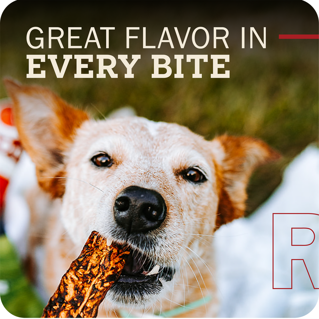 Dog holding a Redbarn Bully Slice Treat with text 'Great Flavor in Every Bite' and a blurred background
