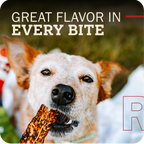 Dog holding a Redbarn Bully Slice Treat with text 'Great Flavor in Every Bite' and a blurred background