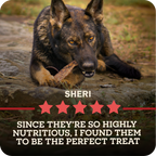 A German Shepherd dog named Sheri is shown outdoors on rocks, chewing on a Redbarn Bully Slice Treat. The image includes text overlays reading 'SHERI' and 'SINCE THEY'RE SO HIGHLY NUTRITIOUS, I FOUND THEM TO BE THE PERFECT TREAT' with five red stars.