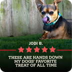 A small black and tan dog lying on green grass in front of a wooden fence, licking its lips while holding a Redbarn Bully Slice Treat. The dog wears a blue patterned collar.